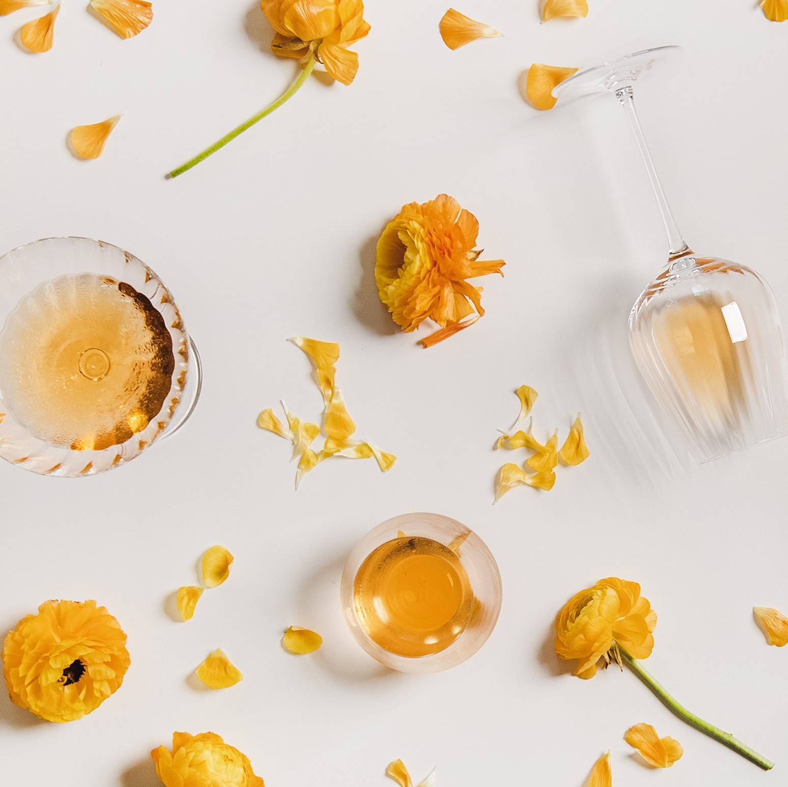 Orange Wine Cocktails