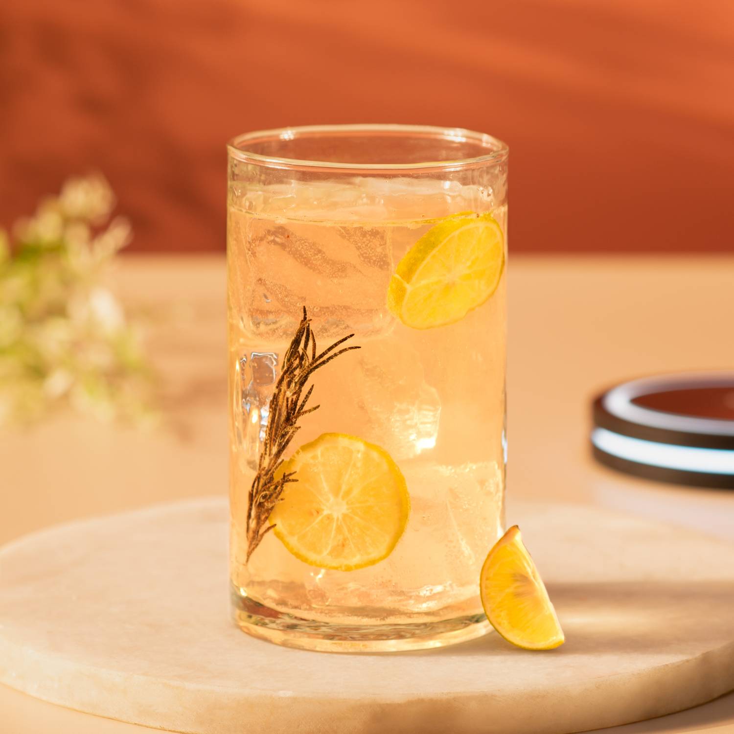 Cardamom and Rosemary Gin Fizz