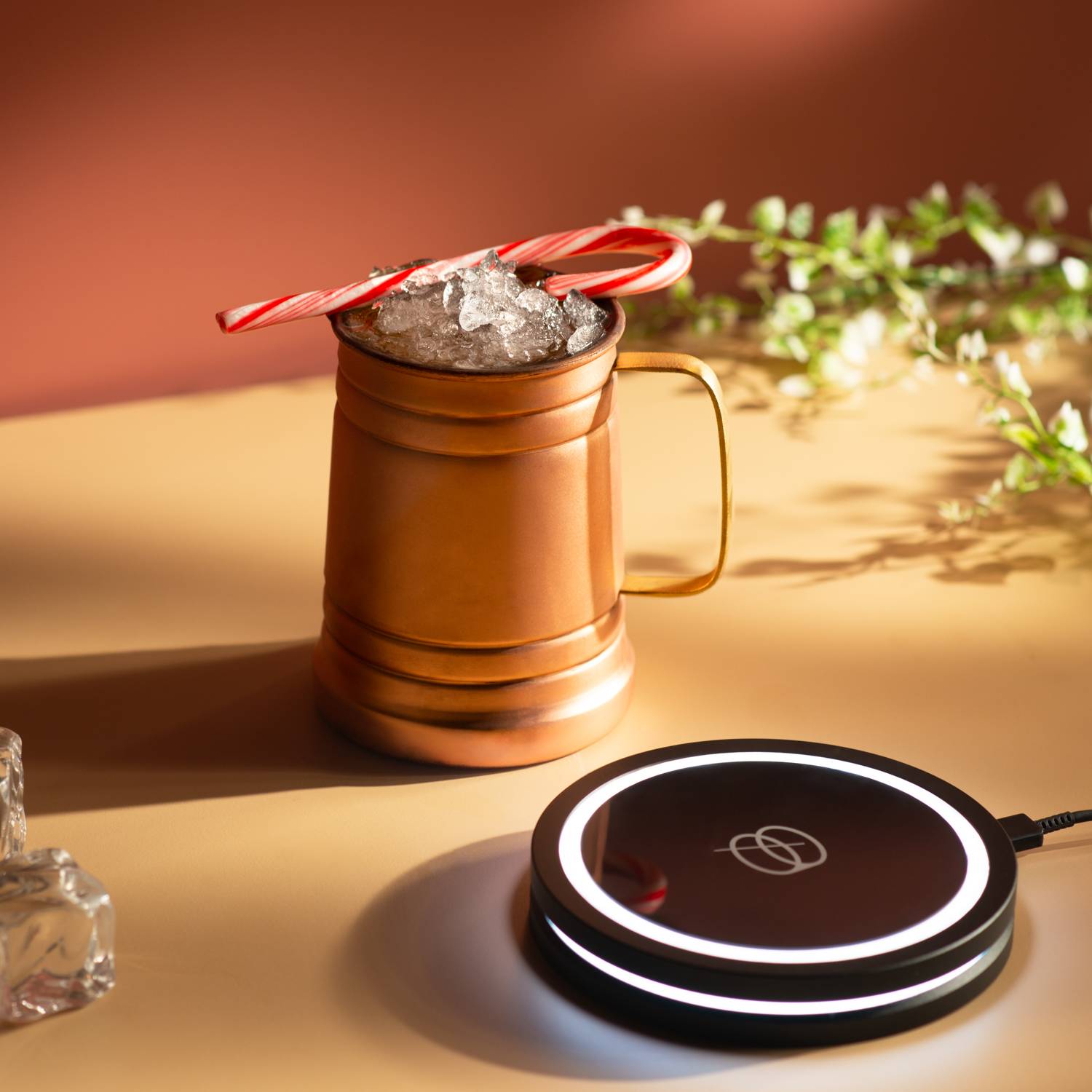 Chocolate Candy Cane Mule