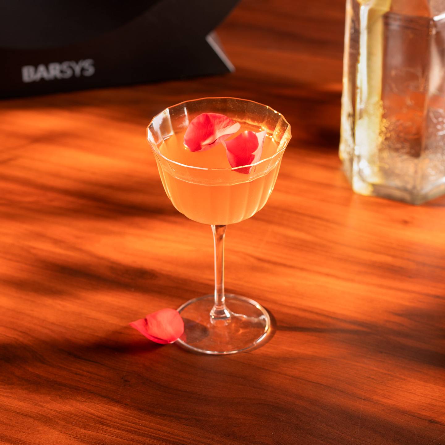 Cherry Blossom Sunset