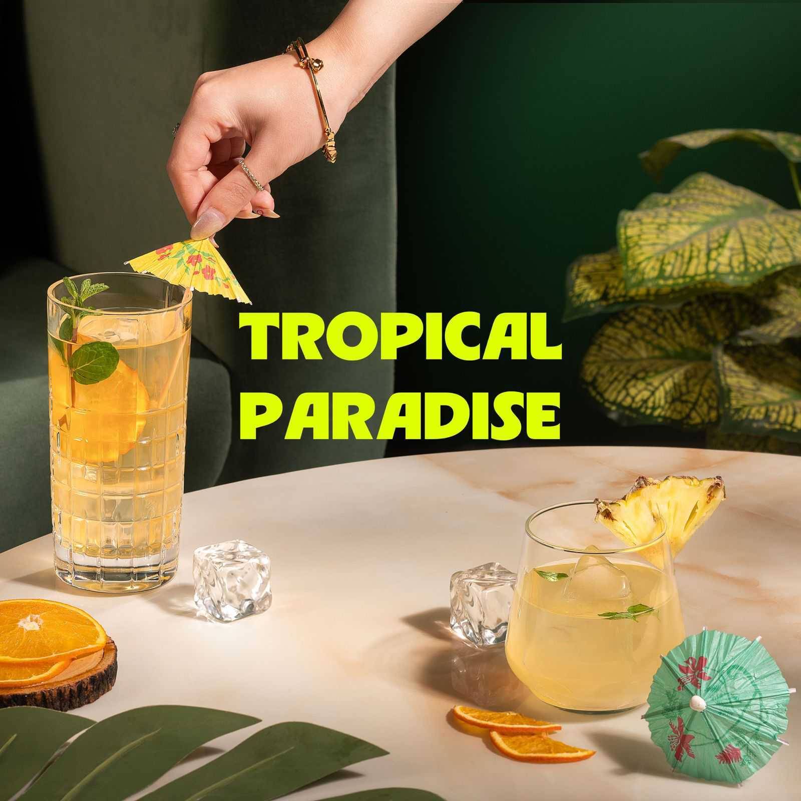 Barsys 360 Tropical Paradise Collection Kit