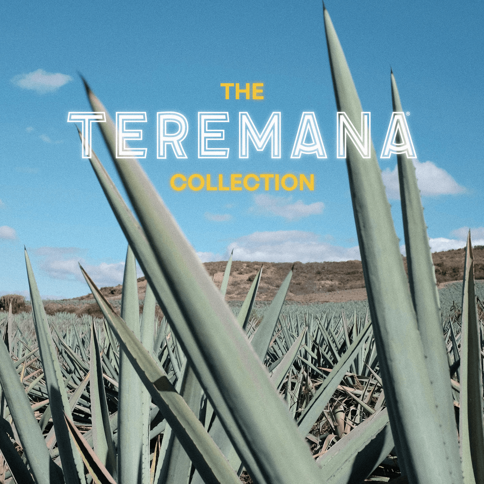 The Teremana Collection
