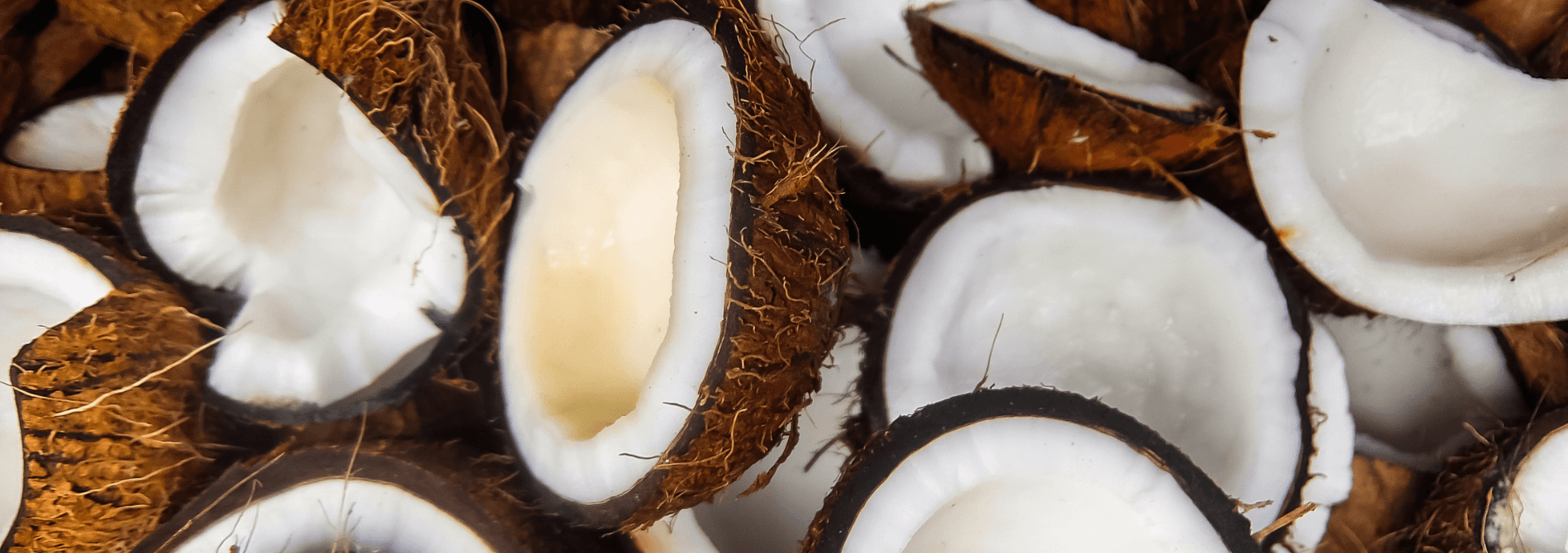 5 Delicious Coconut Cocktails to Celebrate World Coconut Day !