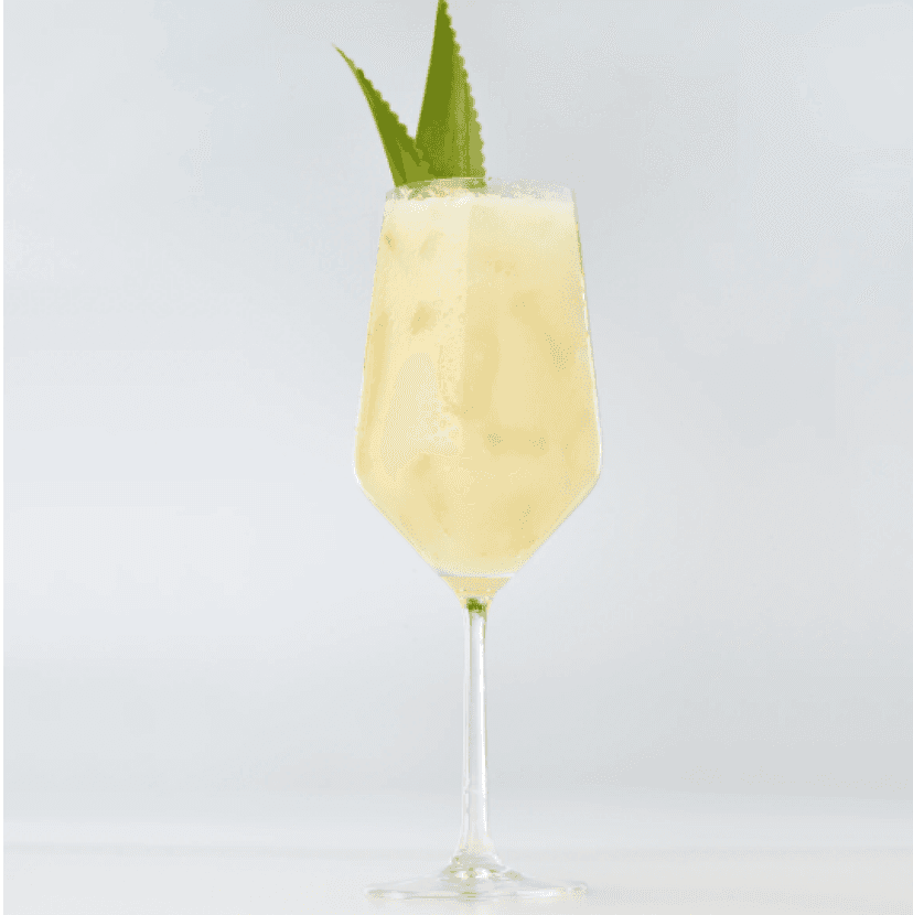 Camarena Colada-rita