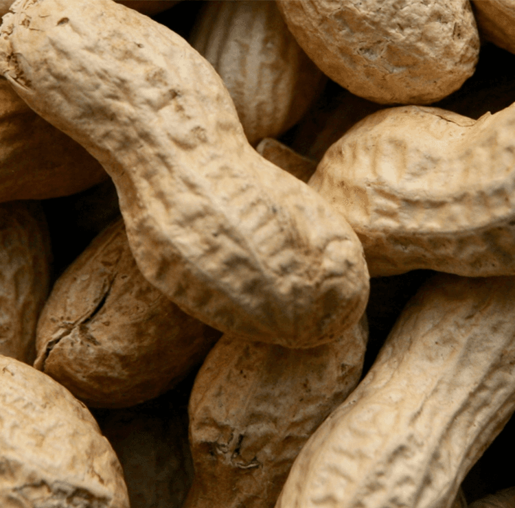 National Peanut Day Cocktails