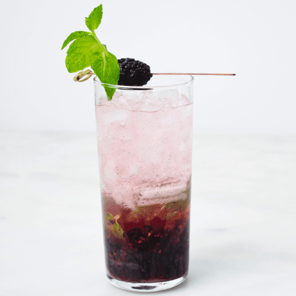 Blackberry Ginger Mojito