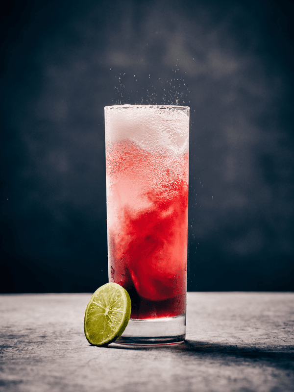 Sorel Hibiscus Mule