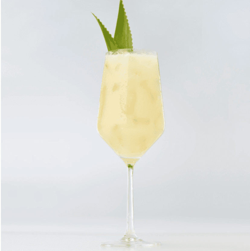 Camarena Colada-rita