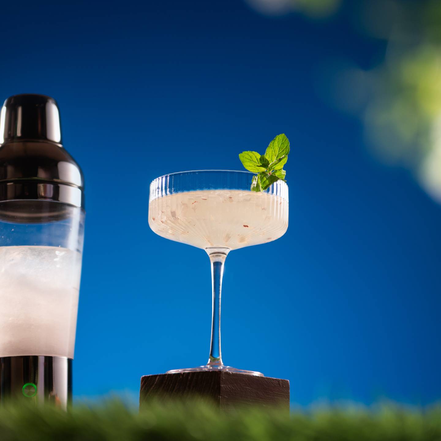 Coconut Cardamom Martini
