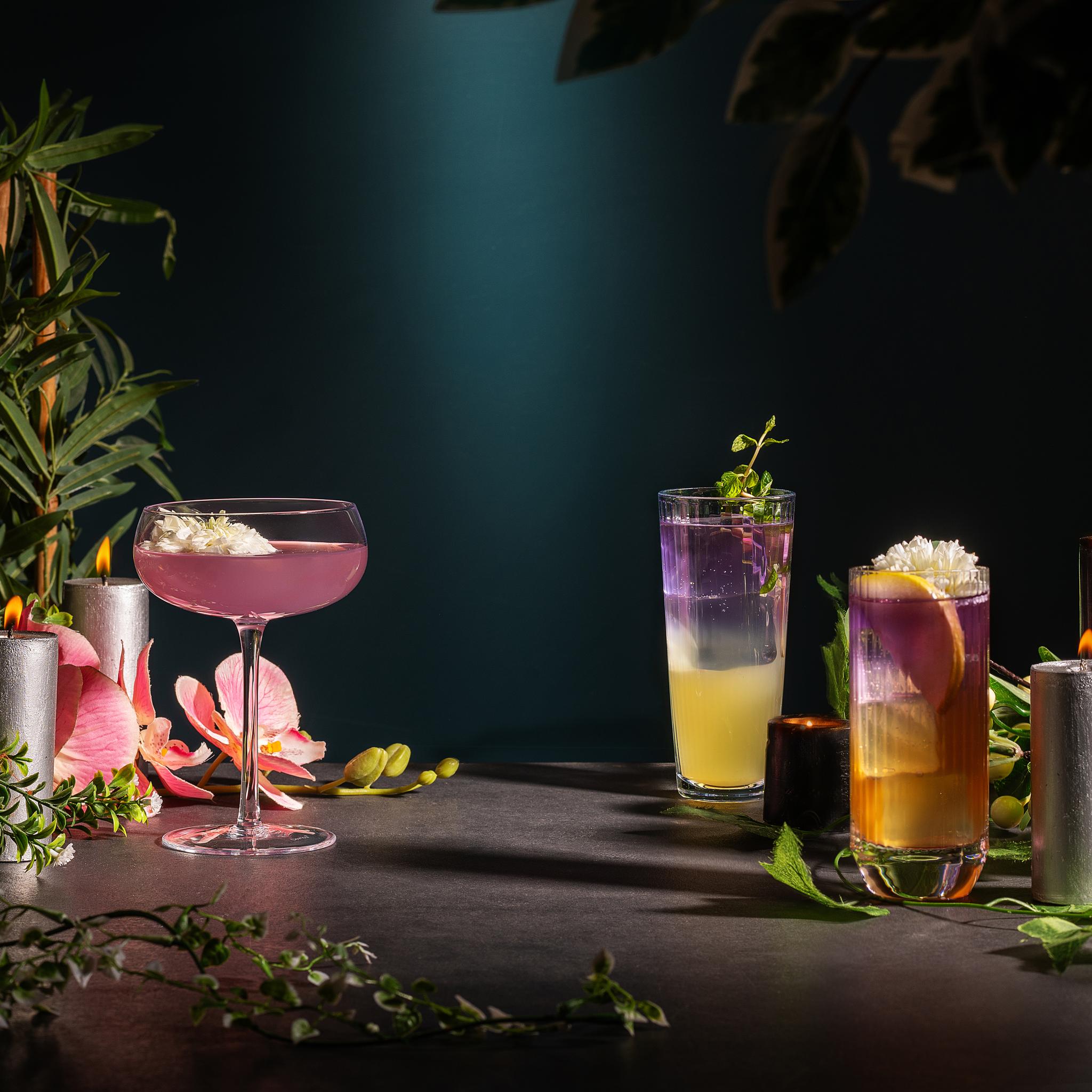 Barsys 360 Enchanted Garden Starter Kit